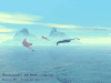 Trial by Air